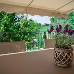 Montenovo Ostra Vetere