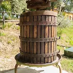 Montenovo Ostra Vetere