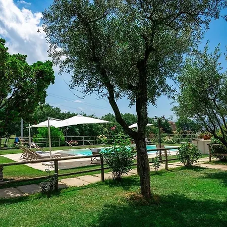 Montenovo *