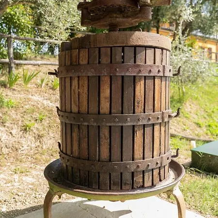 Montenovo Ostra Vetere