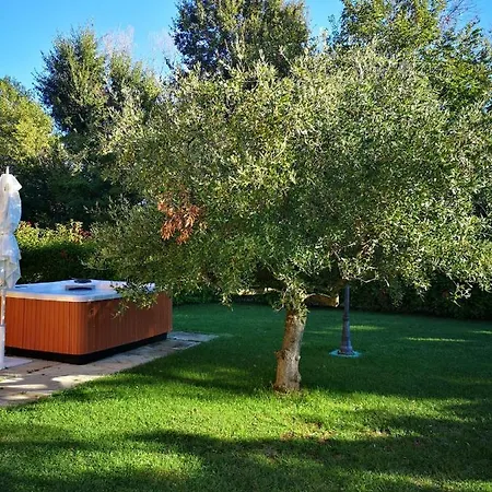 Montenovo
