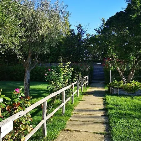 Montenovo Nyaraló Ostra Vetere