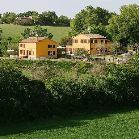 Montenovo * Ostra Vetere